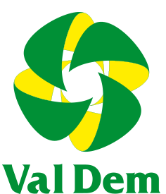 Valdem